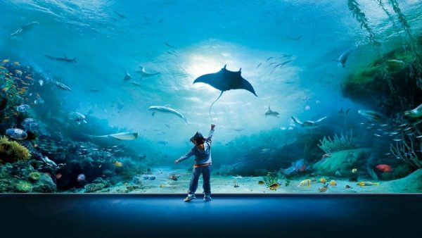 Offerte sui biglietti di ingresso all'acquario di Genova su iltuoticket.it