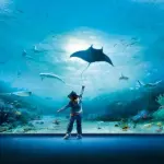 Offerte sui biglietti di ingresso all'acquario di Genova su iltuoticket.it