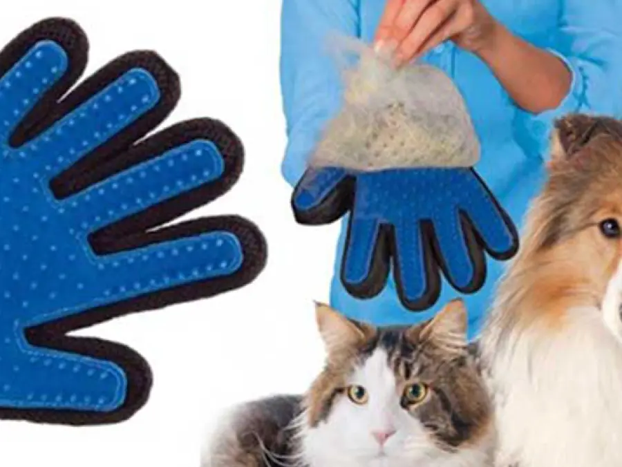 Guanto magico per animali 2 in 1, addio alla vecchia spazzola per cani e gatti