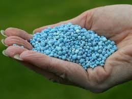 5 metodi fai-da-te per fertilizzanti e pesticidi biologici