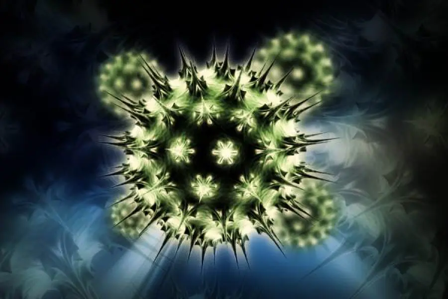 I virus fanno sempre paura ma forse pochi sanno che non potremmo esistere senza