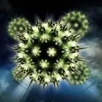 I virus fanno sempre paura ma forse pochi sanno che non potremmo esistere senza