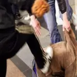 Napoli, orrore Giugliano in Campania: tredicenne disabile violentato dal branco per anni