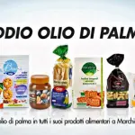 Olio di palma, la Coop ha deciso di eliminarlo dai propri prodotti