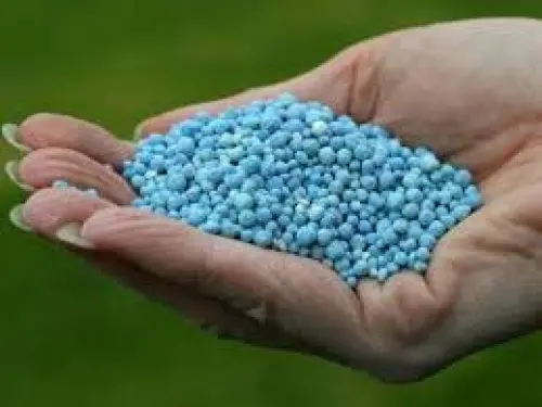 5 metodi fai-da-te per fertilizzanti e pesticidi biologici