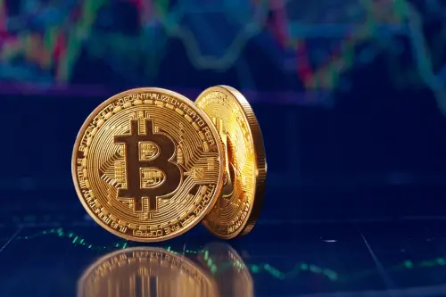 La genesi del Bitcoin: da solo asset finanziario, a metodo di pagamento online