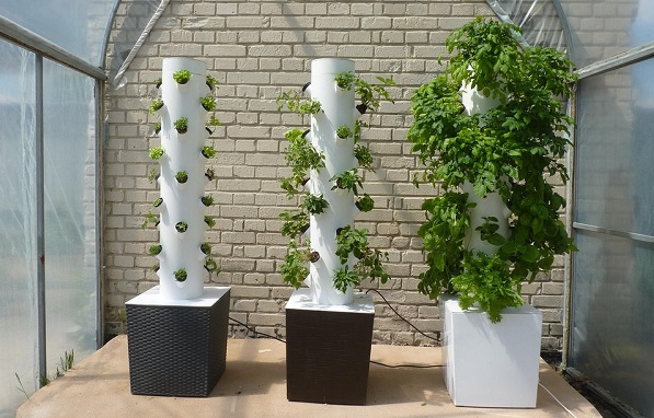 Coltivazioni aeroponiche: di cosa si tratta, pro e contro