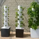 Coltivazioni aeroponiche: di cosa si tratta, pro e contro